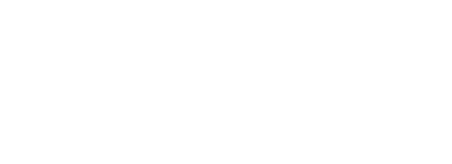 Vision FR